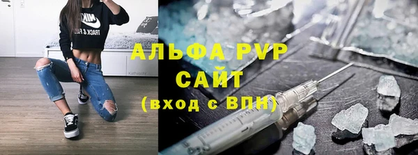 прущие грибы Осташков