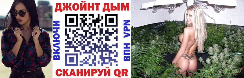 Конопля ГИДРОПОН  omg вход  Западная Двина 
